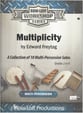 Multiplicity Multi Percussion cover